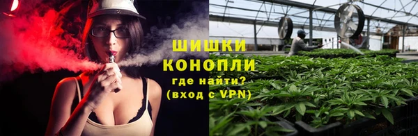 ПСИЛОЦИБИНОВЫЕ ГРИБЫ Медвежьегорск