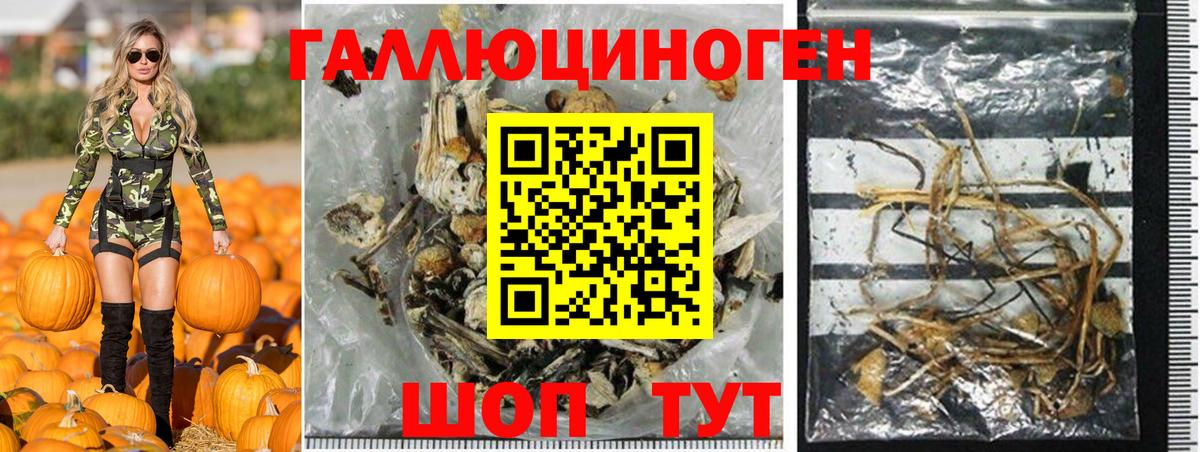 Псилоцибиновые грибы MAGIC MUSHROOMS Брянск