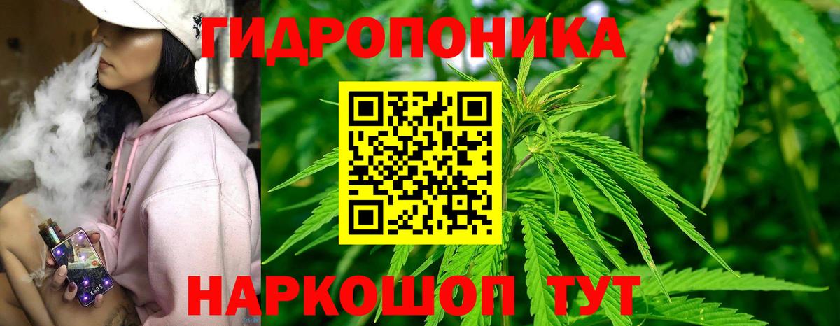 Марихуана конопля Брянск