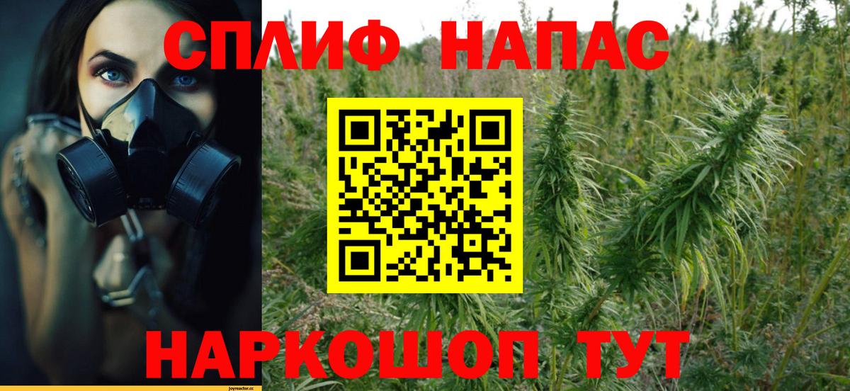 Конопля LSD WEED  МАРИХУАНА семена  Брянск  Шишки марихуана сатива  Вход с VPN  Бошки Шишки ГИДРОПОН 
